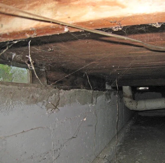 Crawlspace Encapsulation in Detroit, MI