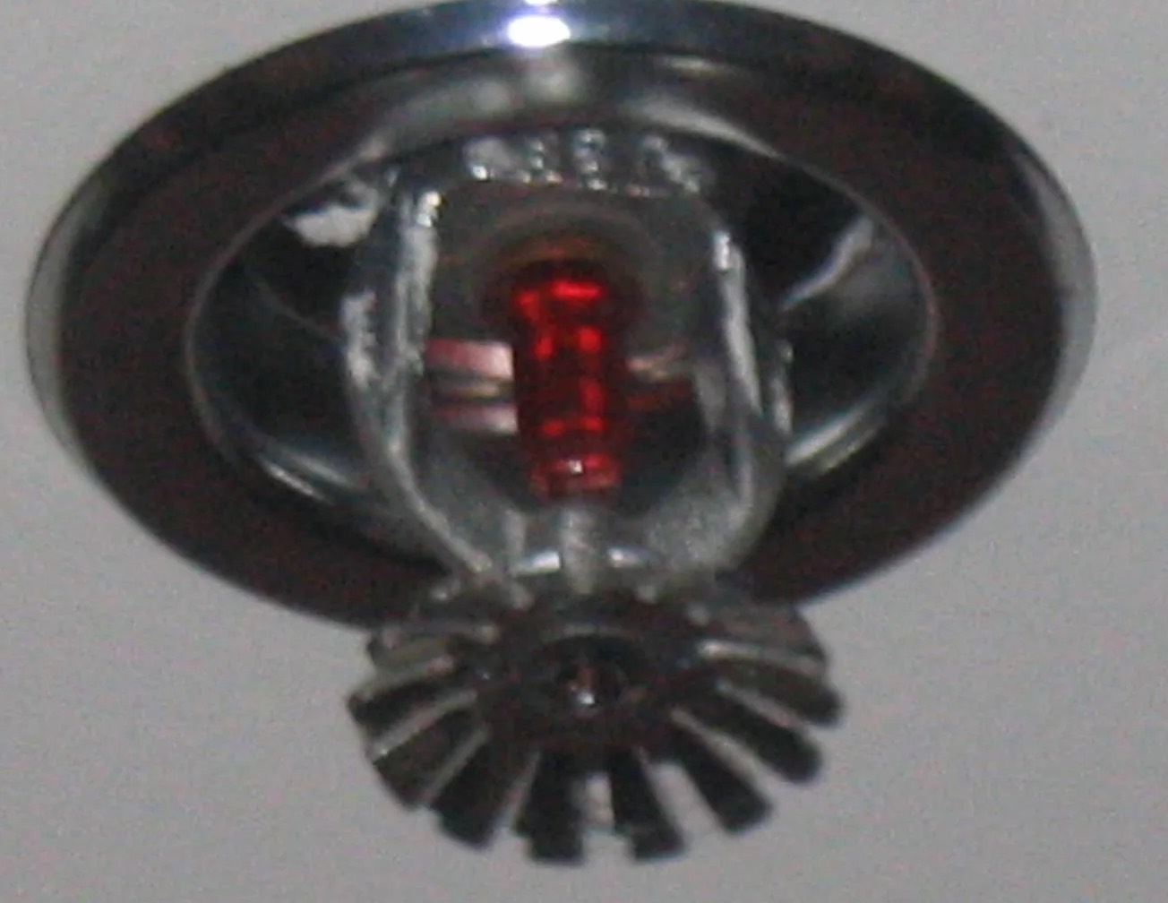 Fire Sprinkler Cleanup in Detroit, MI