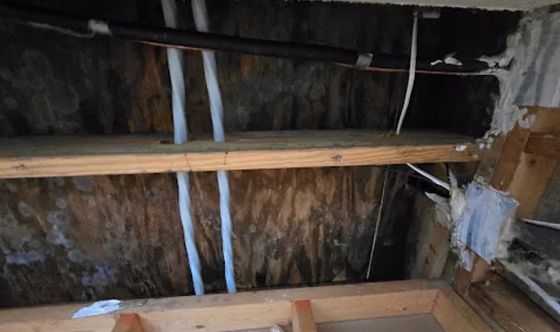 Emergency Tarping in Detroit, MI